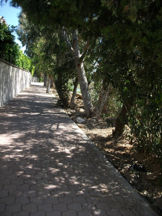 Der Weg zum Strand liegt neben einem Fluss Seher Sun Palace Resort & Spa