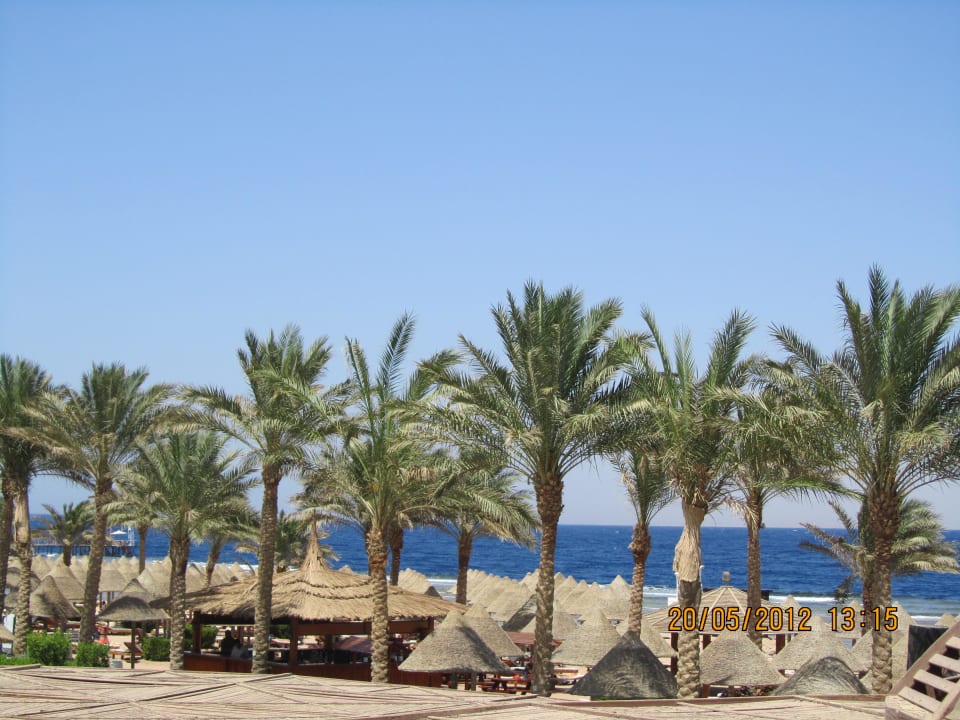 Plaża Sharm Grand Plaza Resort