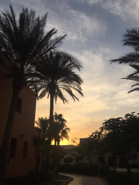 Gartenanlage Hotel JAZ Makadi Star & Spa