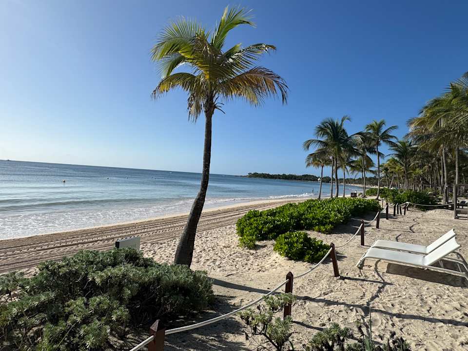 Strand TRS Yucatan Hotel - Adults only