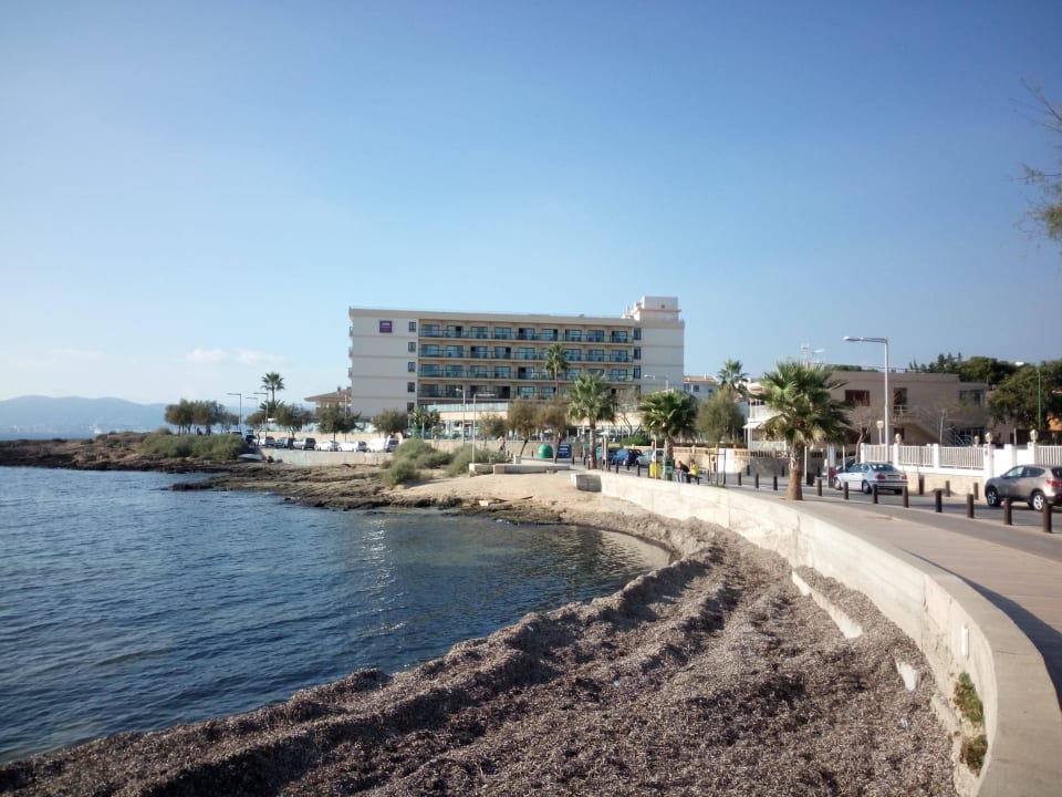 Anblick vorne AluaSoul Palma