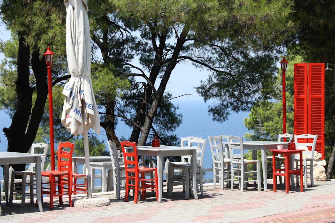 Przy basenie Hotel Dryades