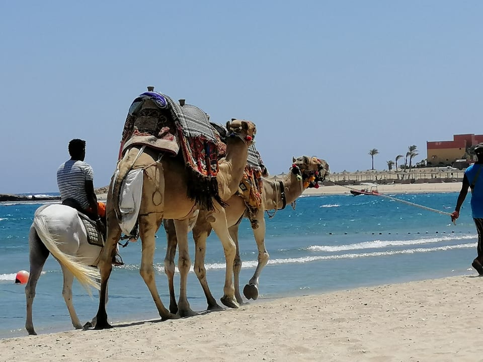 Strand Pickalbatros Dana Beach Resort - Hurghada