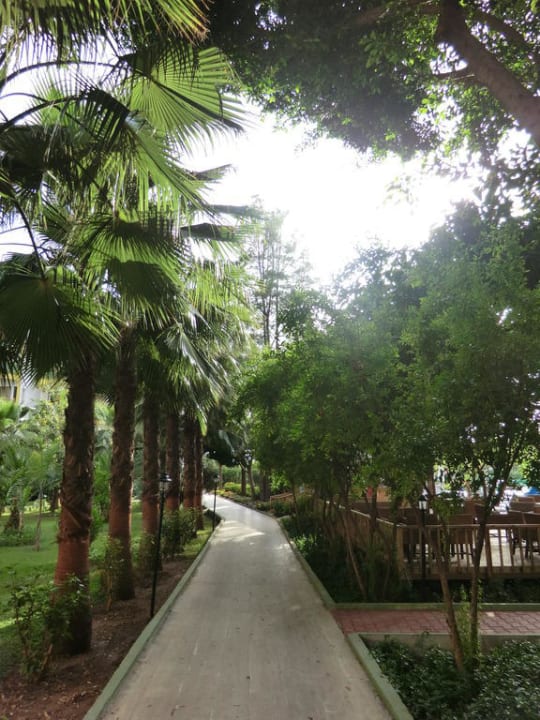 Weg durch den Garten zum Kinderpool Botanik Hotel & Resort
