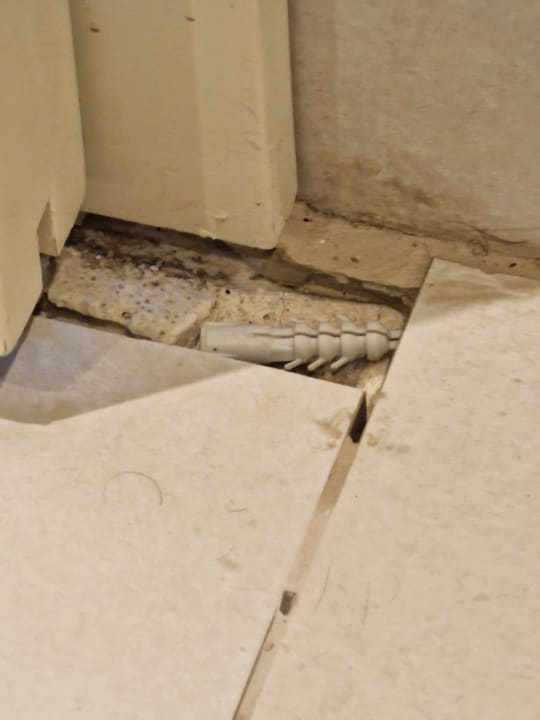 Zimmer Domes Aulūs Zante, Autograph Collection