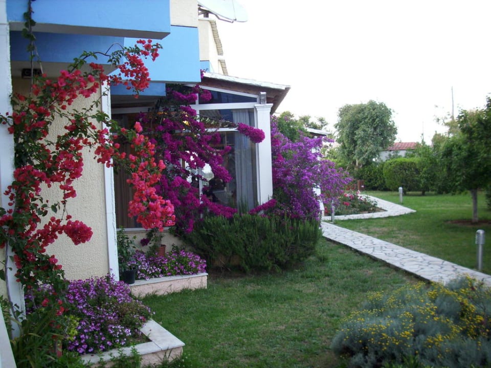 Schön geflegte Gartenanlage Hotel Albatros