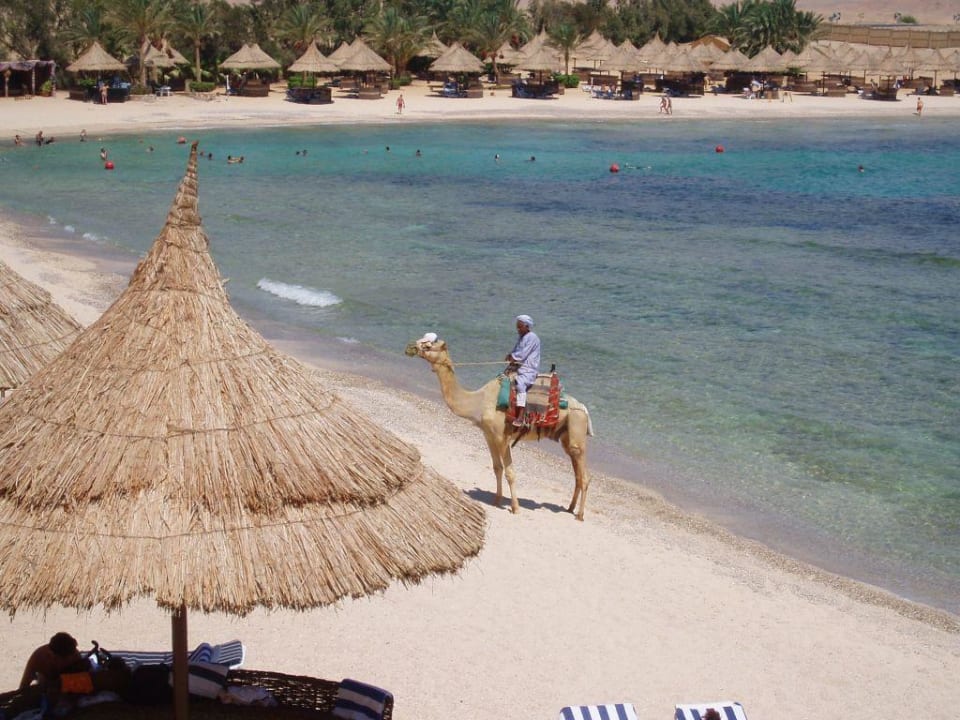 Strand Mövenpick Resort El Quseir