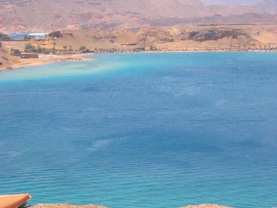 Blick auf´s Meer Albatros Sharm Resort