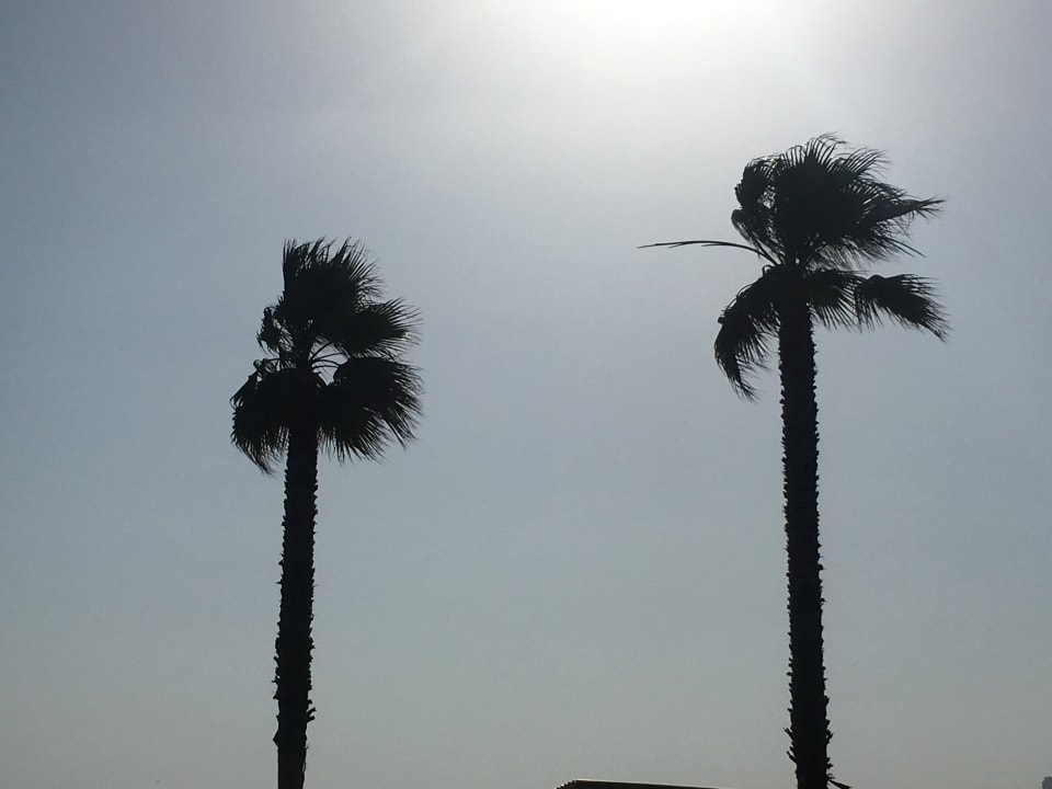 Sonstiges NH Marina Portimão Resort