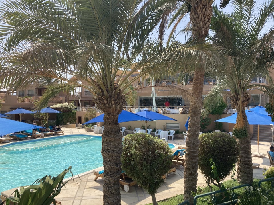 Pool Shams Prestige Abu Soma-Adults Only