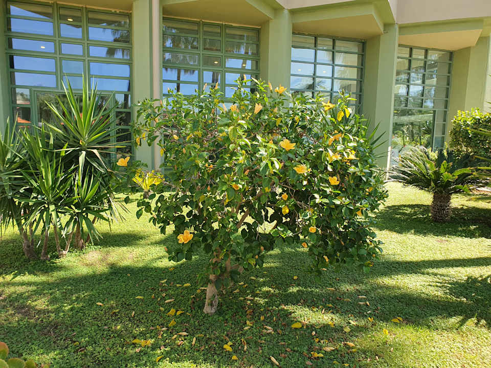 Gartenanlage VONRESORT Golden Coast