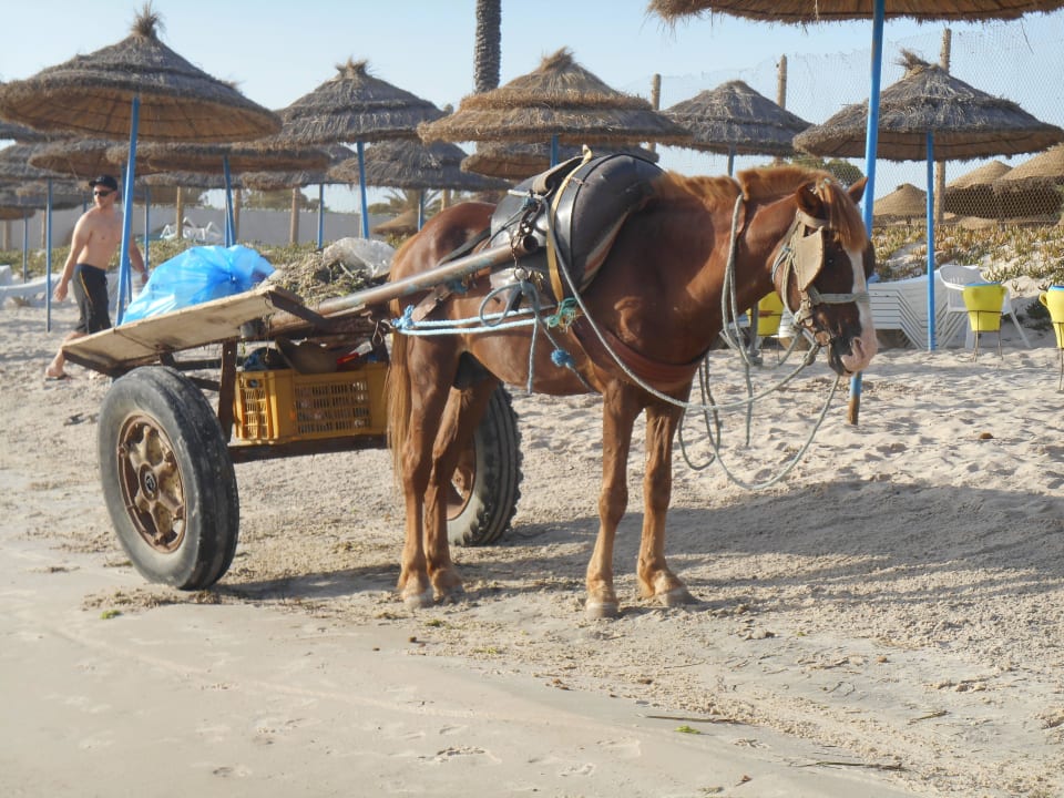 Strand Monarque Club Rivage