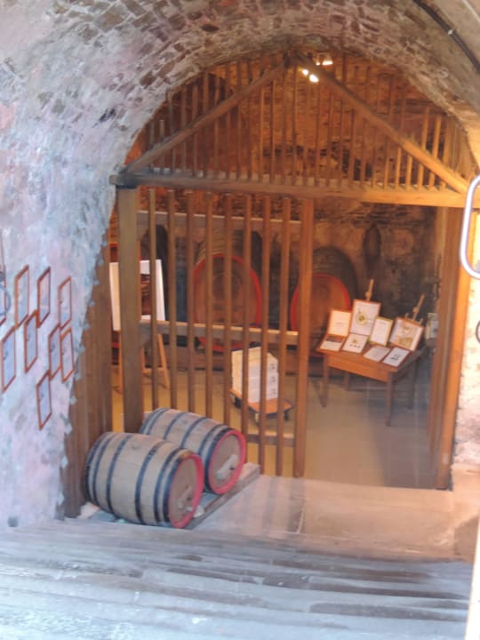 Eingang zum Weinkeller Ferienwohnungen Weingut Zehnthof