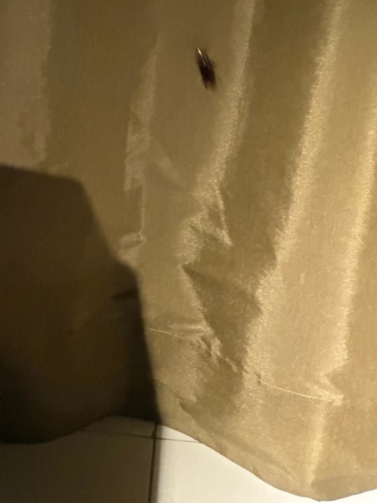 Zimmer Crystals Beach Resort Belle Mare, a member of Radisson Individuals