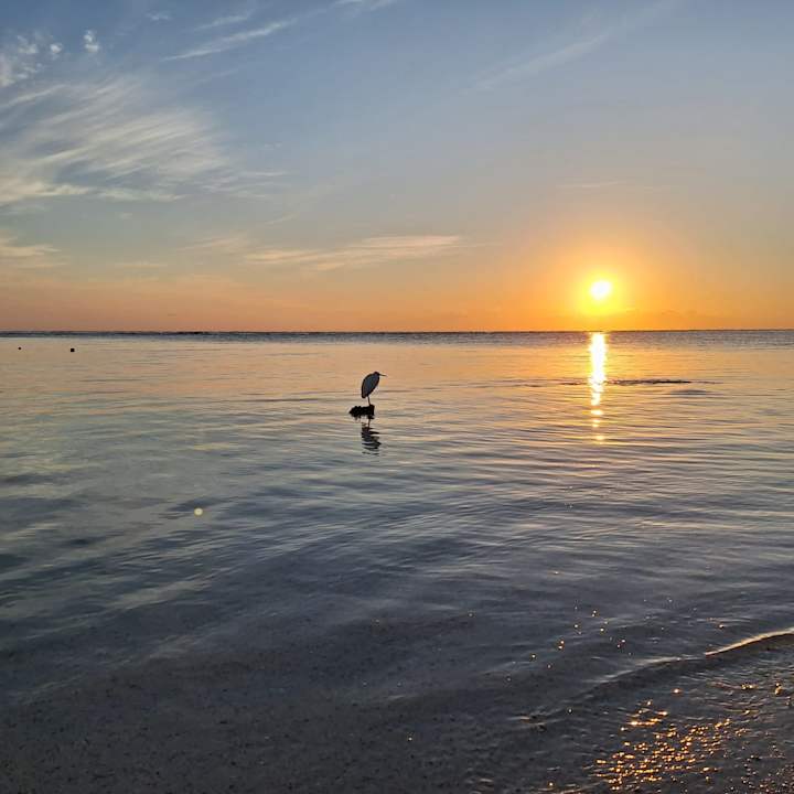 Außenansicht Novotel Marsa Alam Beach Resort