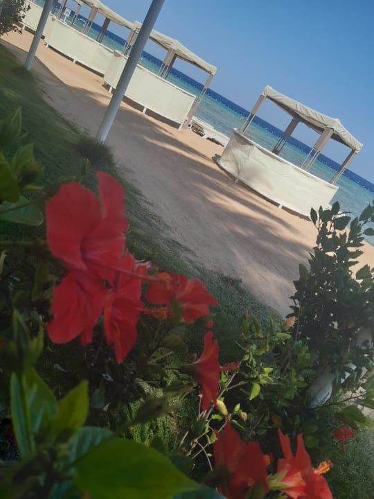 Strand Makadi Spa - Adults only