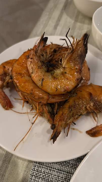Gastro JAZ Elite Casa del Mar Beach