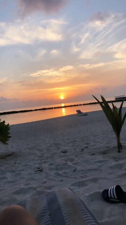 Strand Summer Island Maldives