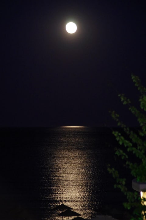 Ausblick Hotel Calypso Beach