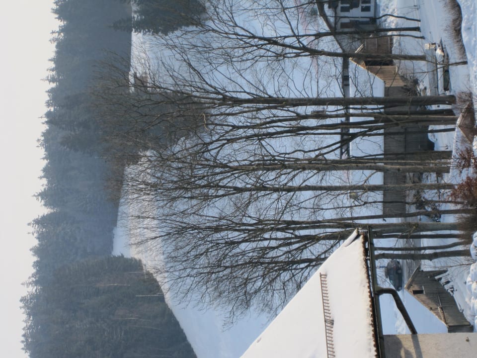 Blick vom Gästehaus Hotel Waldschlößl