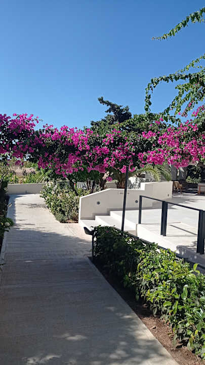 Gartenanlage Anissa Beach & Village