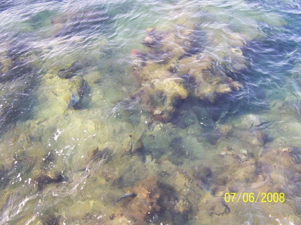 klares Wasser Three Corners Sea Beach Resort