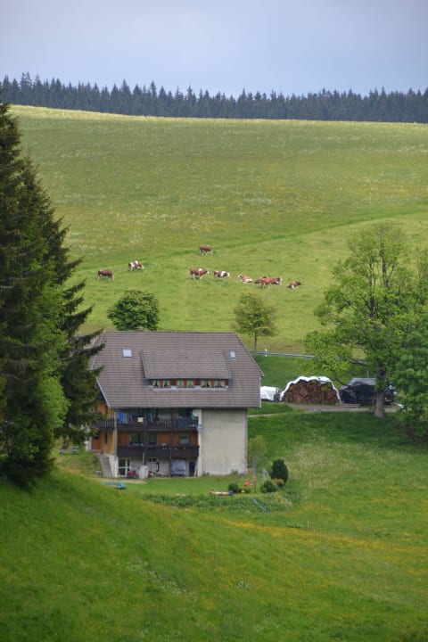 Das Wohnhaus Ferienwohnung Altvogtshof