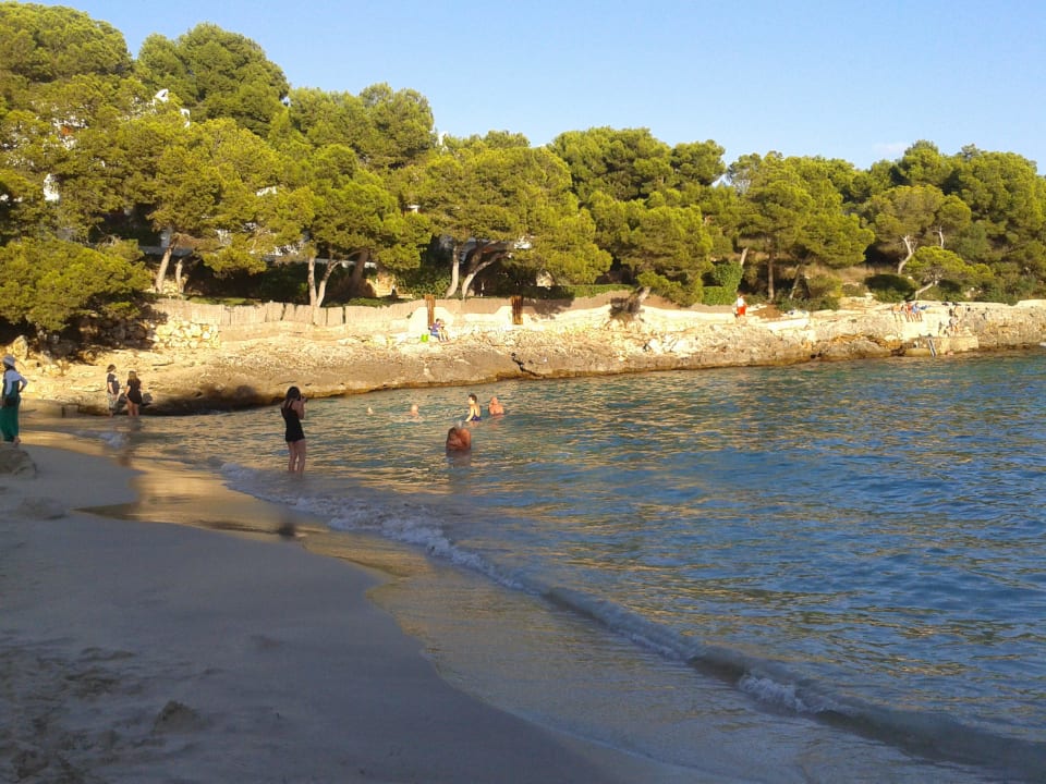 Abends Grupotel Rocador