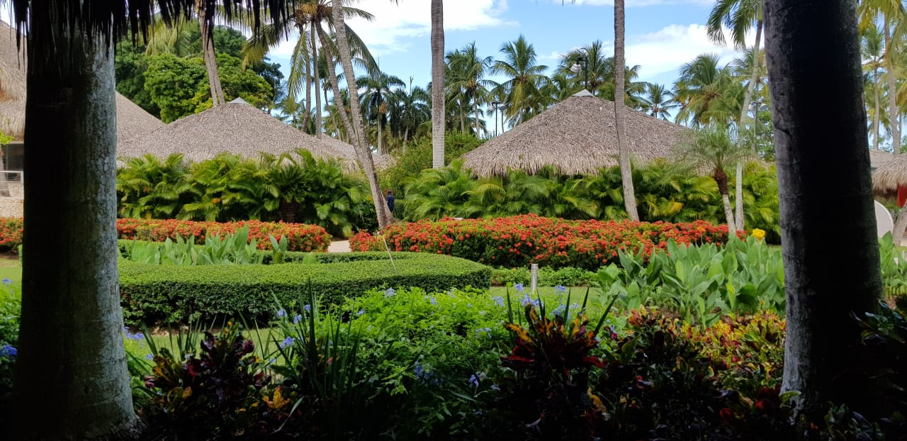 Außenansicht Hotel Viva Dominicus Beach by Wyndham - All Inclusive Resort