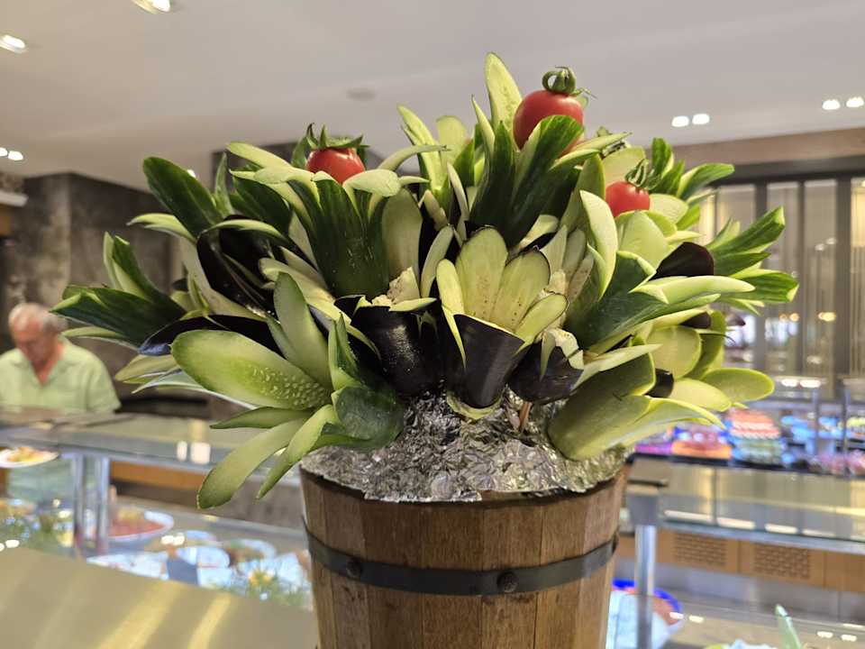 Gastro Seashell Vega