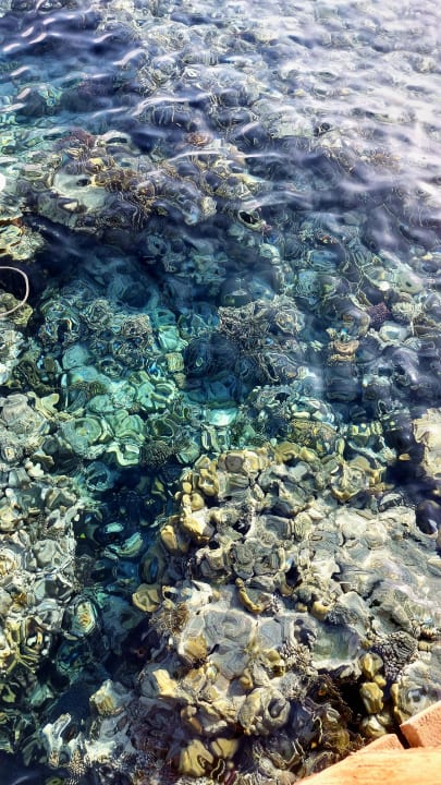 Strand Makadi Spa - Adults only