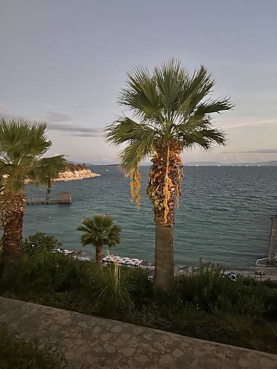 Strand Anadolu Hotels Didim Club