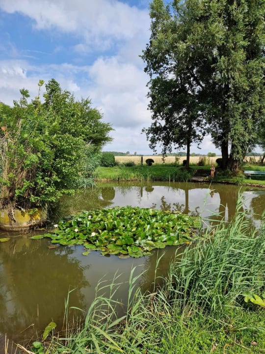 Gartenanlage Hotelpension Altes Zollhaus-Leybucht