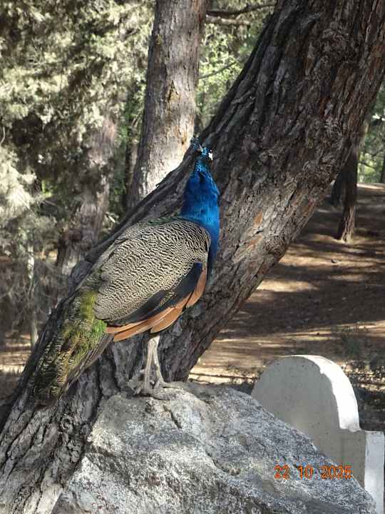 Sport & Freizeit Akti Beach Club