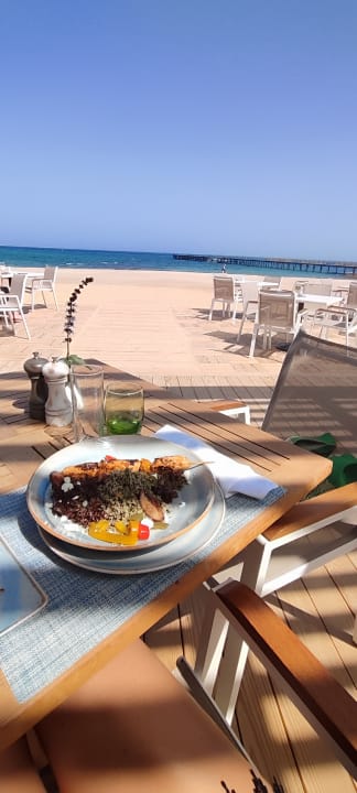 Gastro JAZ Elite Amara