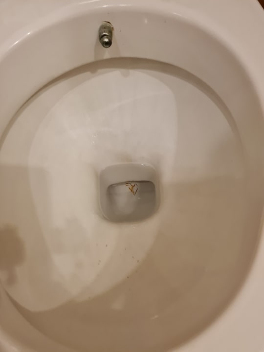 Zimmer Side Royal Paradise Hotel