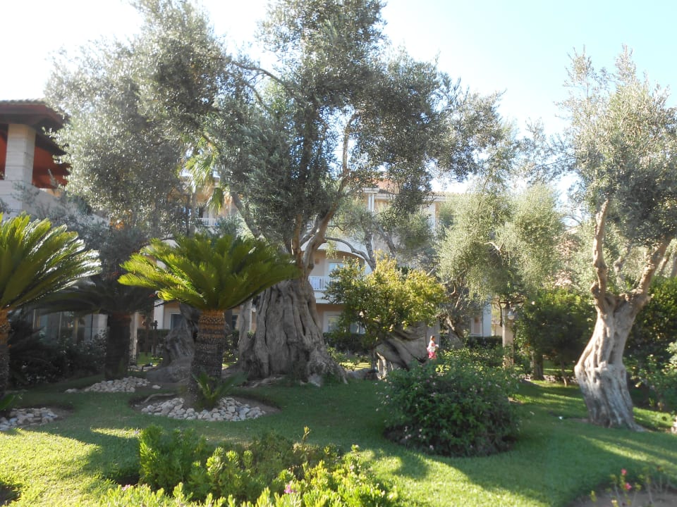 Innengarten unterhalb des Haupthotels Playa Garden Selection Hotel & Spa