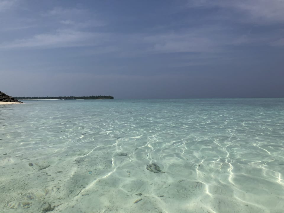 Strand Summer Island Maldives