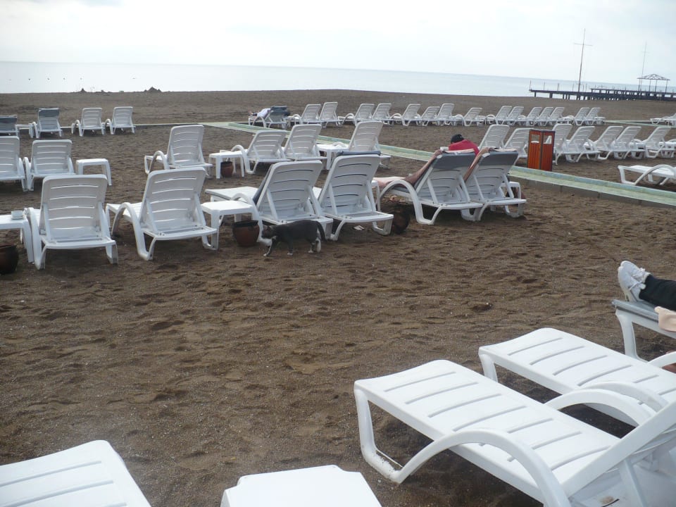 Strandliegen Hotel Delphin Imperial