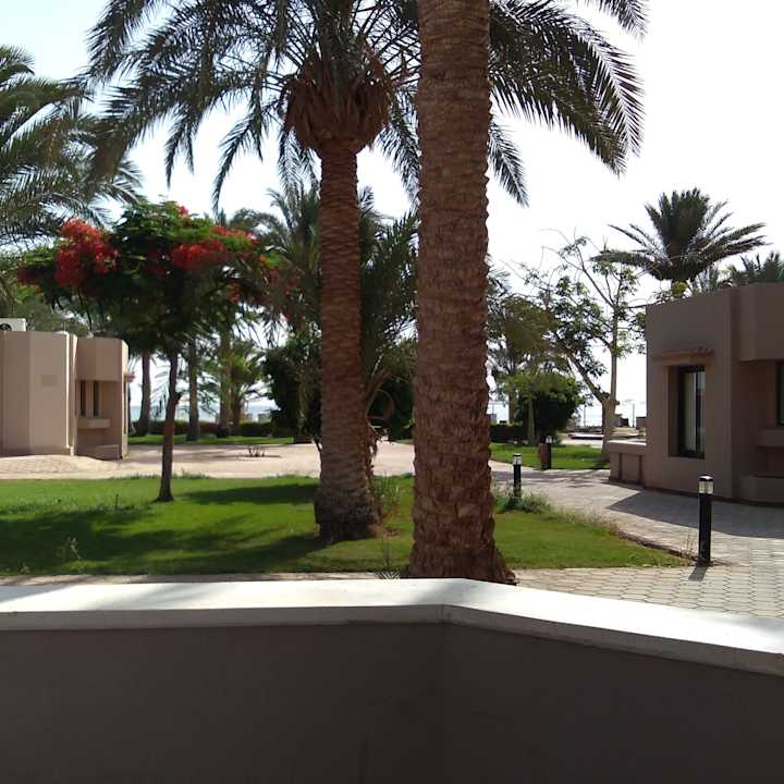 Gartenanlage Pharaoh Azur Resort