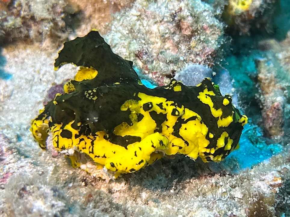 Sport & Freizeit Sali Bay Resort