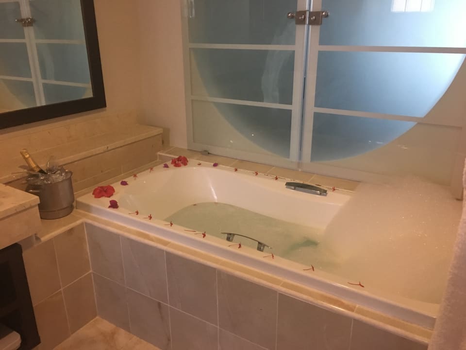 Zimmer Paradisus Varadero Resort & Spa