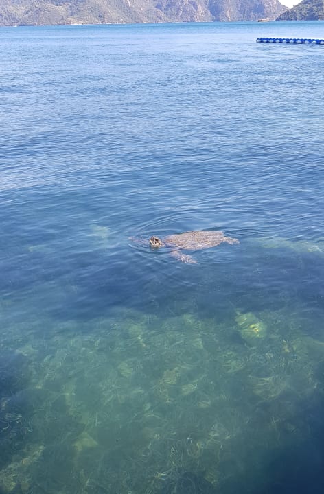 Strand Labranda Mares Marmaris