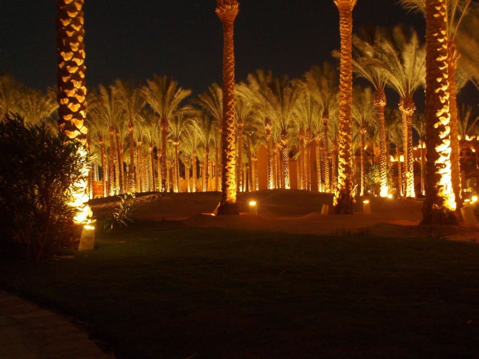 Palmenmeer Grand Makadi