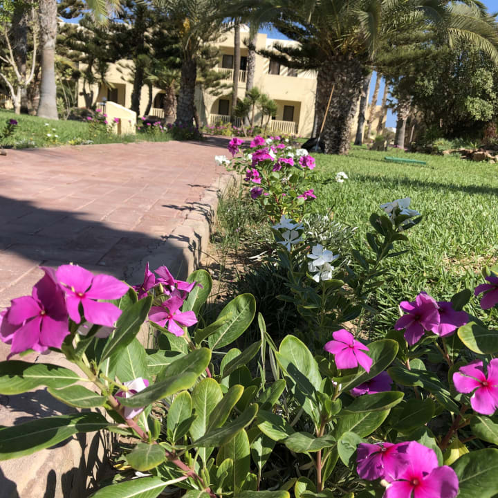 Außenansicht Aldiana Club Djerba Atlantide