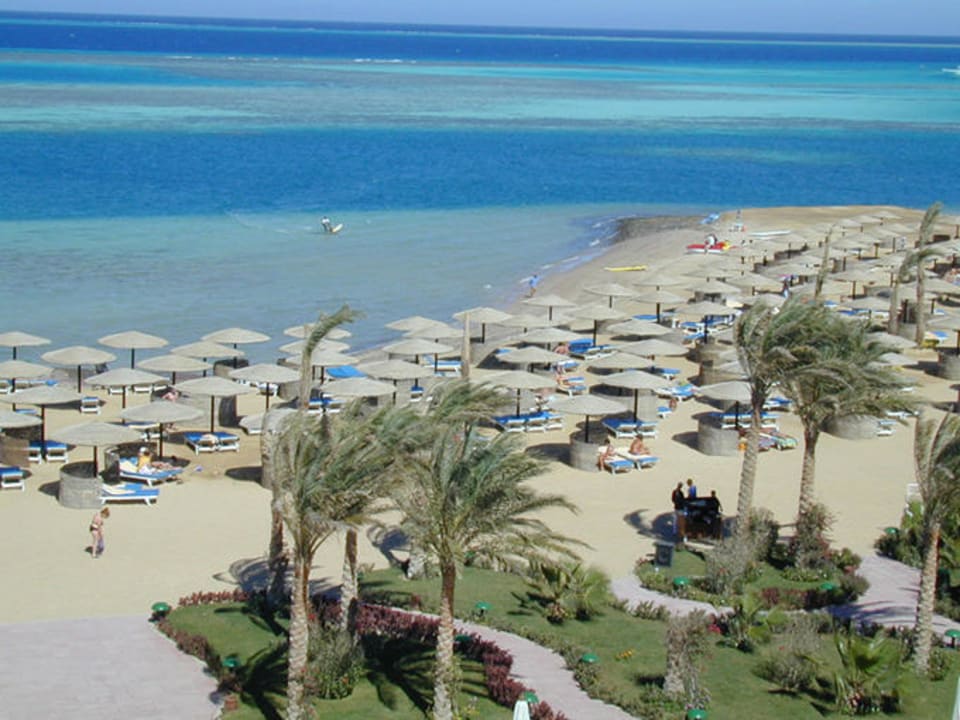 Plaza sea star Sea Star Beau Rivage