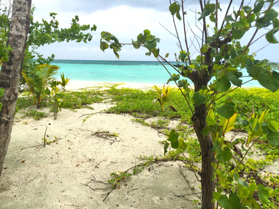 Einzigartige Natur Summer Island Maldives