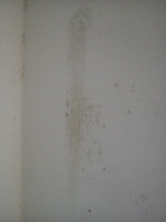 Plísen3 Hotel Beseda