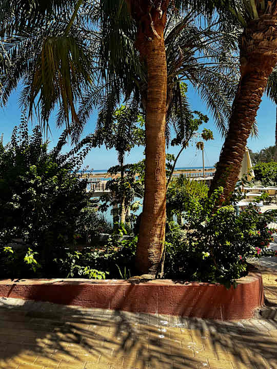 Außenansicht Sheraton Miramar Resort El Gouna