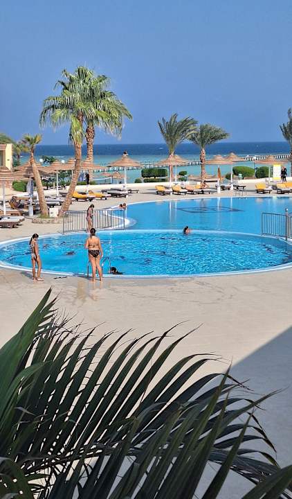 Pool Blue Reef Red Sea Resort